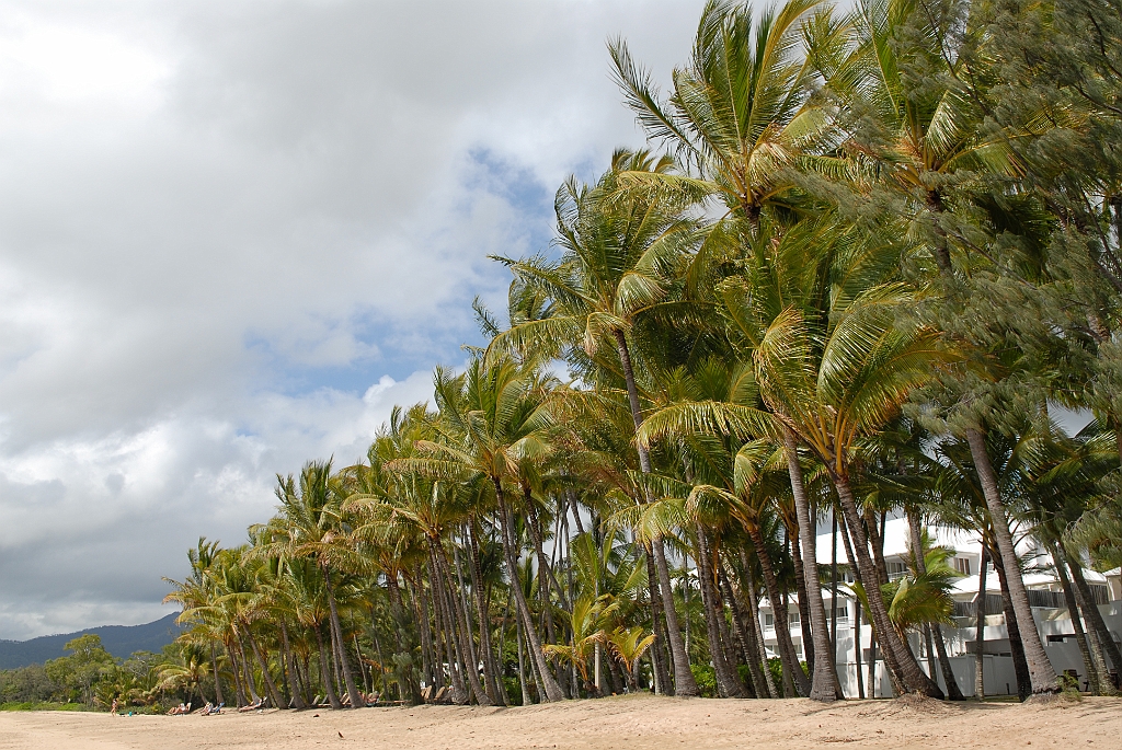 0050 Palm Cove.jpg